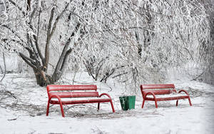 雪地公園中的兩個紅色長椅，周圍是冰雪覆蓋的樹木。