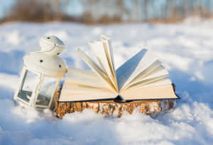積雪圓木上的書和燈籠，冬日田野