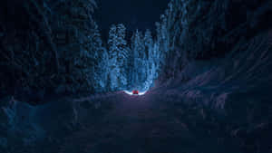 紅色汽車在星空下行駛於雪地森林