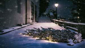 夜晚的雪街上，一棵裝飾過的聖誕樹躺在地上。 — 聖誕樹 壁紙