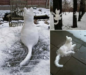 冬季花園和森林中的雪貓雕塑