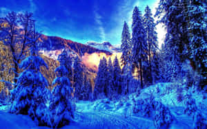 積雪的森林小徑蜿蜒穿過松樹，山巒在夕陽下閃耀。 — 明亮 壁紙