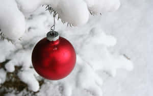 一個紅色聖誕裝飾品掛在積雪的松樹枝上。