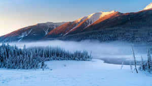雪山與冰凍森林上昇起的霧氣，日出時分。