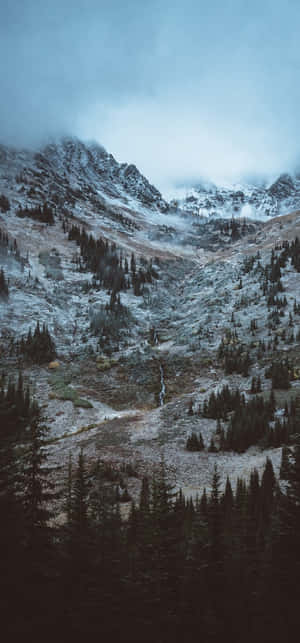 白雪覆蓋的山谷，有常綠樹和霧雲。