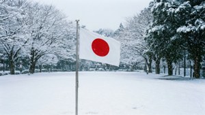 日本國旗在白雪覆蓋的公園中飄揚，周圍有積雪的樹木