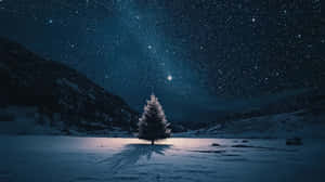 一棵單獨的雪覆蓋的樹在夜晚的冰凍湖中，星空下背景有山脈。 — 夜晚 GIF 壁紙