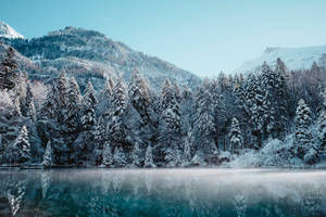 白雪覆蓋的樹木和山脈倒映在平靜的湖水中，天空清澈湛藍。