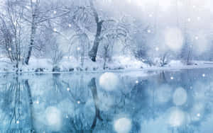 積雪的樹木在飄雪下倒映在結冰的湖面上。