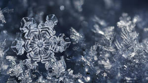 藍色背景上，一個細節豐富的雪花及其周圍冰晶的特寫。 — 雪景美學 壁紙
