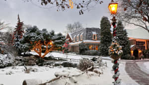 雪屋，閃爍的燈光和裝飾的樹木，黃昏時分。