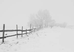 霧濛濛冬季田野中的積雪柵欄和光禿禿的樹木。