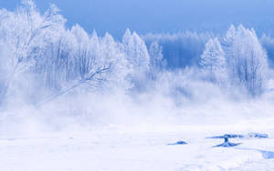 在藍色天空下，雪覆蓋的地面上升起薄霧的結霜冬日森林。