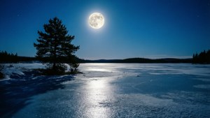 冬夜中，明亮的滿月照亮了雪覆蓋的景色。 — 月亮 壁紙