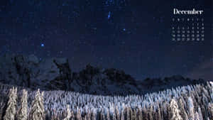 雪松林在星空下，十二月日曆。 — 十二月 GIF 壁紙