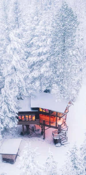 冬季森林中，雪覆蓋的小屋窗戶透出溫暖的燈光。