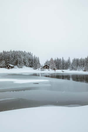 冬季結冰的湖面，積雪的小屋和常綠樹。