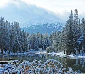冬季白雪覆蓋的森林和湖泊，山脈倒影