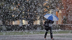 人在雪中行走，手持藍白雨傘 — 雨 壁紙