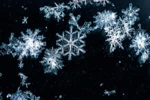 黑暗表面上發光雪花的特寫 — 雪花 壁紙