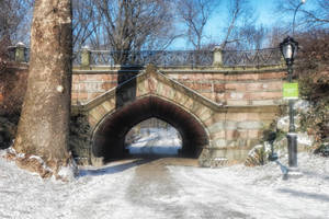 雪地公園中的石拱橋，光禿禿的樹木和路燈。