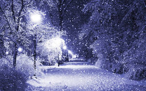 夜晚，雪落在穿過冬季公園的明亮小徑上。