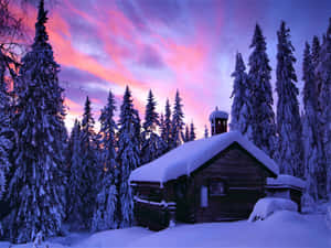 冬季森林中雪覆蓋的小屋，日落時分，天空呈現粉紅色和紫色