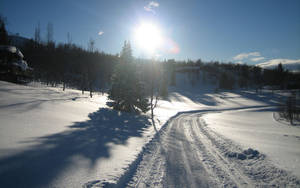 積雪道路蜿蜒穿過冬季森林，陽光燦爛，陰影長長。