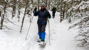兩名冬季徒步者穿著雪鞋在積雪的森林小徑上前行。 — 雪 壁紙