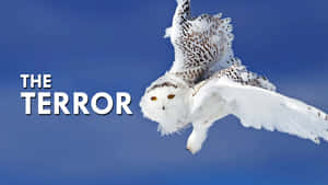 雪鴞在藍天中飛行，附有文字 the terror — 可愛貓頭鷹 壁紙