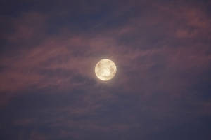 滿月在暮色中透過紫色和粉紅色雲層閃耀。 — 月色夜空 壁紙