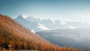 穿過秋林的道路，背景是白雪覆蓋的山峰