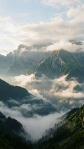 參差不齊的山峰在翠綠山谷的霧海之上聳立，陽光穿過雲層。