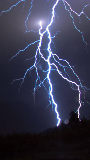 強烈的藍色閃電照亮了暴風雨夜空中黑暗的樹木。