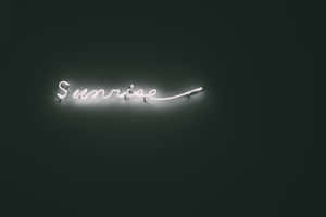 一個白色霓虹燈牌，在深綠色牆壁上顯示「Sunrise」。