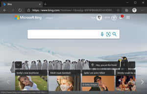 Bing 圖片