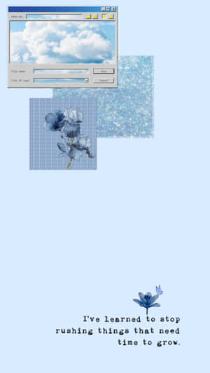 引言背景 — 藍色貓頭鷹 GIF 壁紙