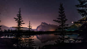 山湖上的星空，松樹剪影和星光倒影。