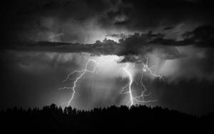 閃電劃過暴風雲層，照亮黑暗的森林剪影。