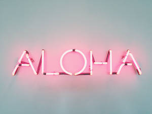 粉紅色霓虹燈牌在藍色牆上拼出 aloha