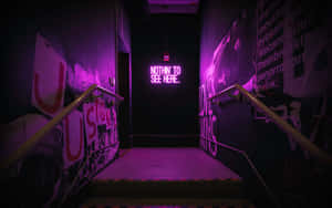 在佈滿塗鴉的樓梯間，紫色霓虹標誌寫著「NOTHIN' TO SEE HERE。」