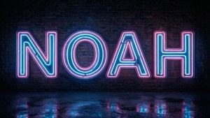 夜晚磚牆上拼出NOAH的霓虹燈牌，地面有濕漉漉的倒影。