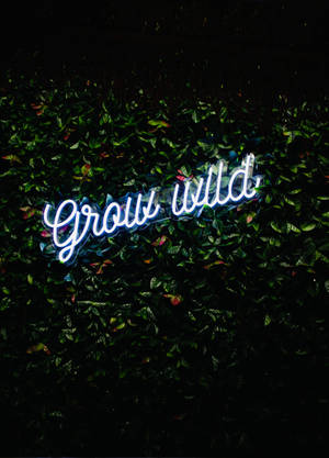 藍色霓虹燈牌，上面寫著 'Grow Wild'，在夜晚的葉牆上。
