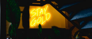 在昏暗的房間中，被深色樹葉包圍的「STAY GOLD」霓虹燈牌。 — 3440x1440 壁紙