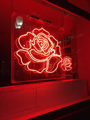 夜間在玻璃櫃內的發光紅色霓虹玫瑰。