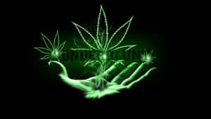 發光綠色手掌捧著大麻植物，煙霧在黑色背景中升起。