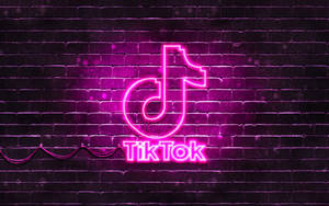夜間濕磚牆上的粉紅色霓虹燈TikTok標誌。
