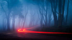 紅色光跡在夜間蜿蜒穿過霧氣瀰漫的藍色森林。 — 森林 壁紙