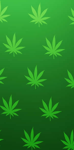 帶有大麻葉圖案的綠色漸變背景。