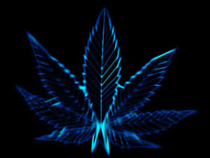 發光的藍色霓虹大麻葉，在黑色背景上帶有銳利線條